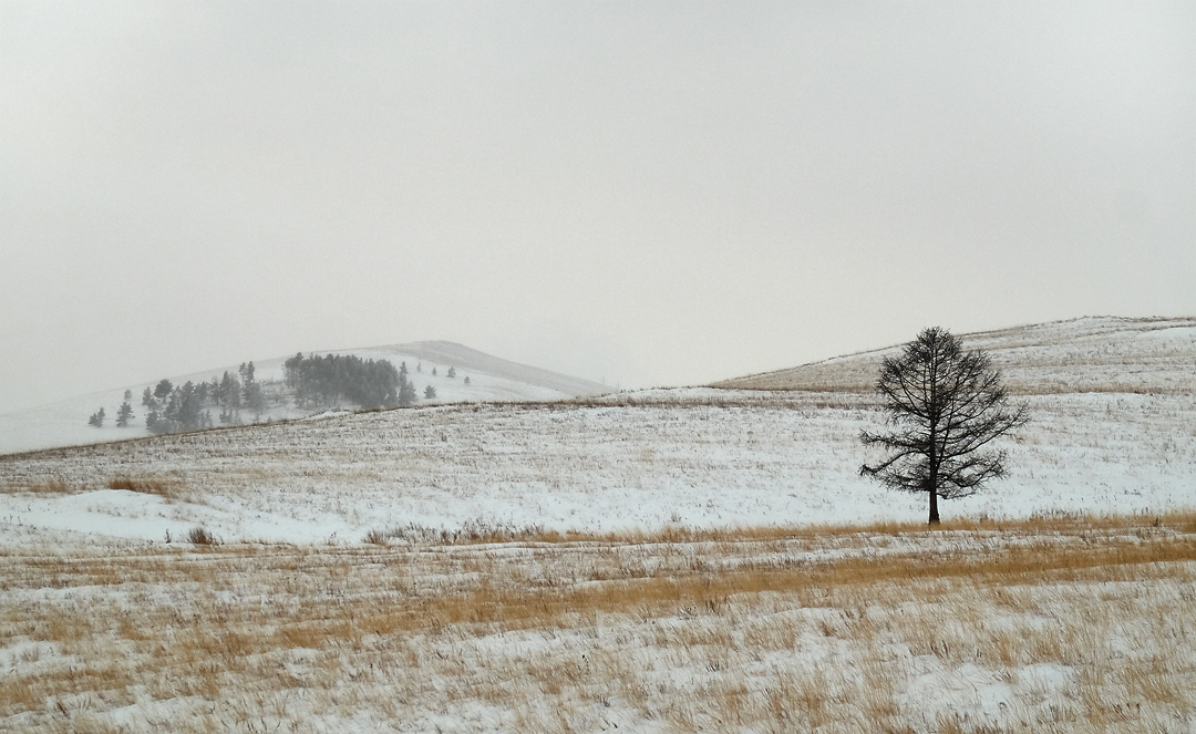 Northern Olkhon 