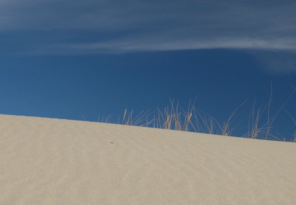 Dune, Baltic Sea | Дюна, Куршская коса, Балтийское море