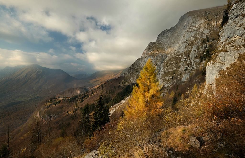 Last of autumn colours, Slovenia |  Остатки осеннего цвета, Словения
