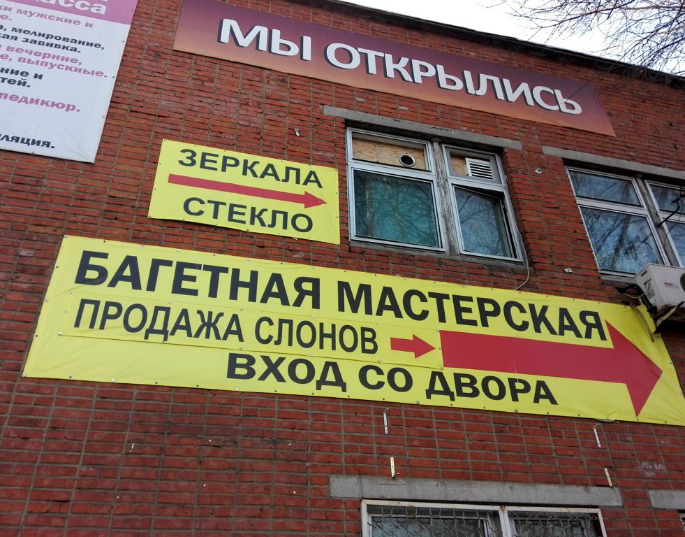 Наконец-то они открылись и мы знаем, куда за слонами