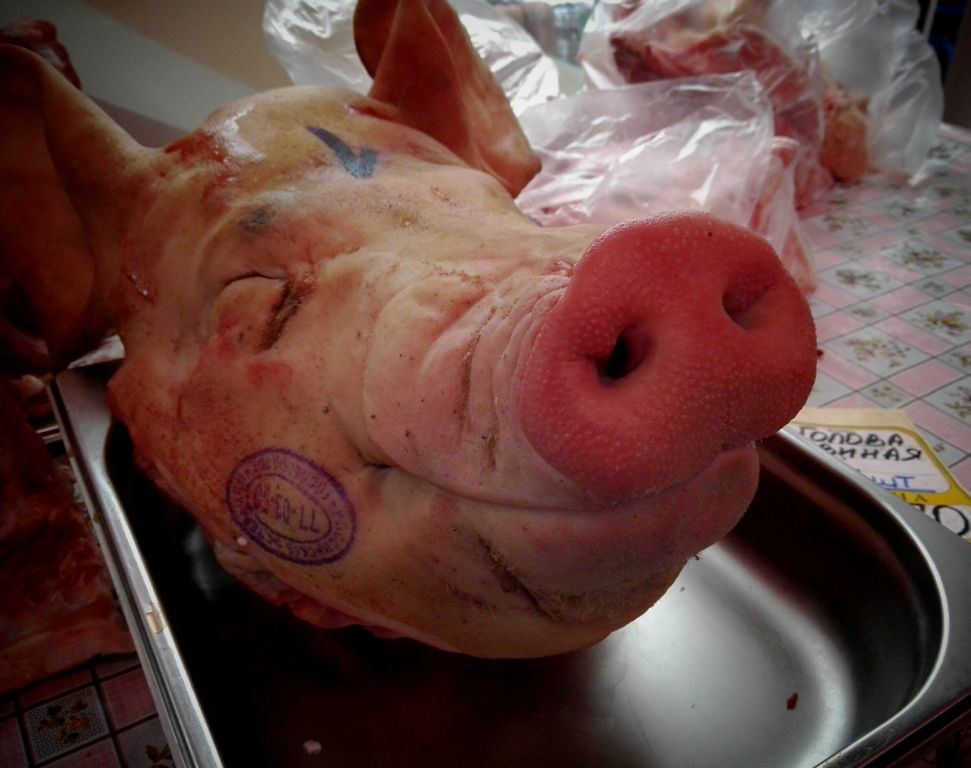 Swine smile ｜Безмятежность